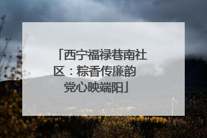 西宁福禄巷南社区：粽香传廉韵 党心映端阳