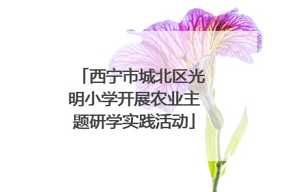 西宁市城北区光明小学开展农业主题研学实践活动