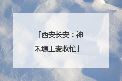 西安长安：神禾塬上麦收忙