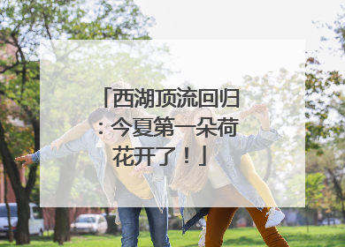 西湖顶流回归：今夏第一朵荷花开了！