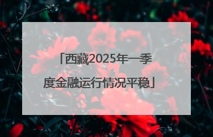 西藏2025年一季度金融运行情况平稳