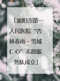 襄阳市第一人民医院“杏林春雨・雪域仁心”志愿服务队成立