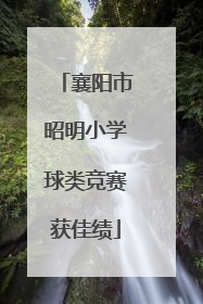 襄阳市昭明小学球类竞赛获佳绩