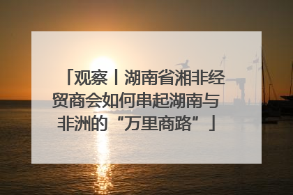 观察丨湖南省湘非经贸商会如何串起湖南与非洲的“万里商路”
