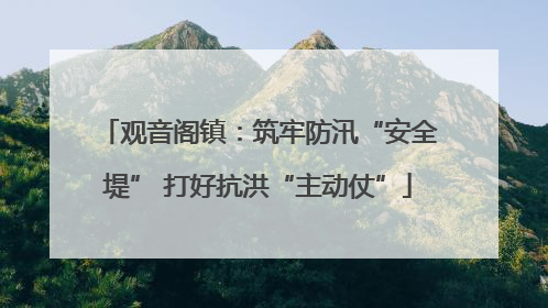 观音阁镇：筑牢防汛“安全堤” 打好抗洪“主动仗”