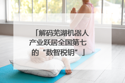 解码芜湖机器人产业跃居全国第七的“数智税钥”