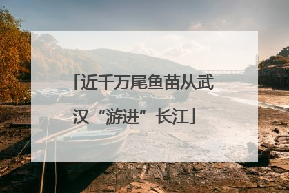 近千万尾鱼苗从武汉“游进”长江