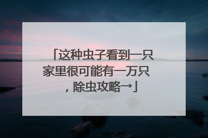 这种虫子看到一只家里很可能有一万只，除虫攻略→