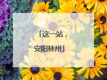 这一站，安阳林州