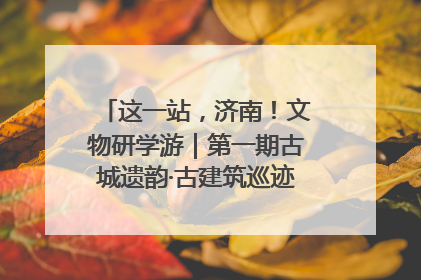 这一站，济南！文物研学游｜第一期古城遗韵·古建筑巡迹之旅圆满结束