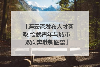 连云港发布人才新政 绘就青年与城市双向奔赴新图景