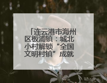 连云港市海州区板浦镇：城北小村解锁“全国文明村镇”成就的密码
