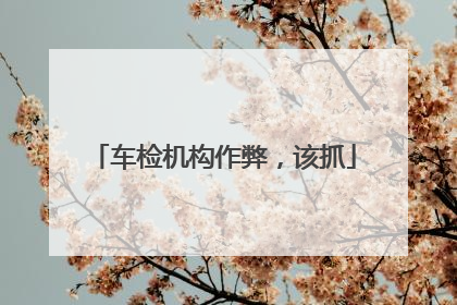 车检机构作弊，该抓