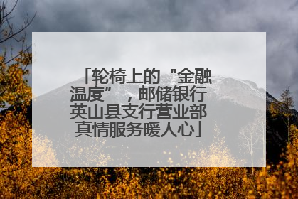 轮椅上的“金融温度”，邮储银行英山县支行营业部真情服务暖人心