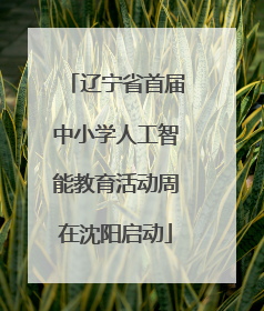 辽宁省首届中小学人工智能教育活动周在沈阳启动