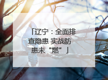 辽宁：全面排查隐患 实战防患未“燃”