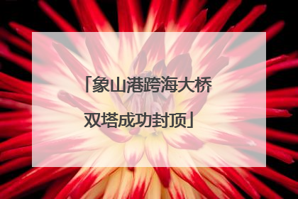 象山港跨海大桥双塔成功封顶