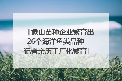 象山苗种企业繁育出26个海洋鱼类品种 记者亲历工厂化繁育
