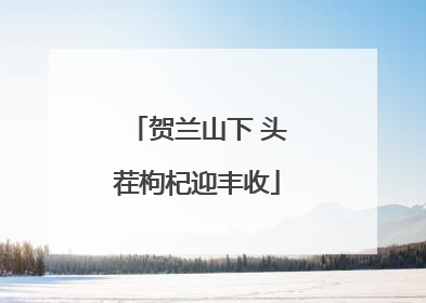 贺兰山下 头茬枸杞迎丰收