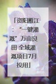 资阳雁江：“一键灌溉”万亩良田 全域灌溉项目7月投用
