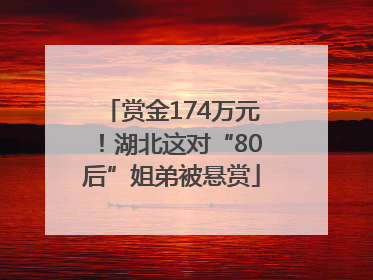 赏金174万元！湖北这对“80后”姐弟被悬赏