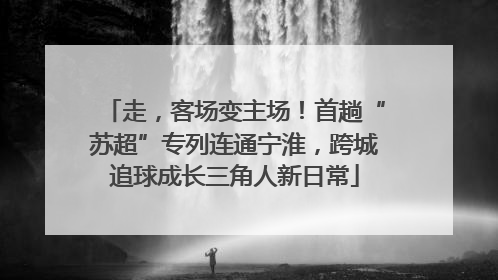 走，客场变主场！首趟“苏超”专列连通宁淮，跨城追球成长三角人新日常