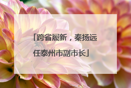跨省履新，秦扬远任泰州市副市长