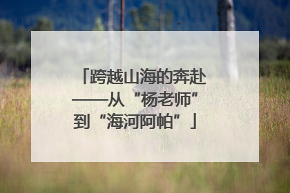 跨越山海的奔赴——从“杨老师”到“海河阿帕”