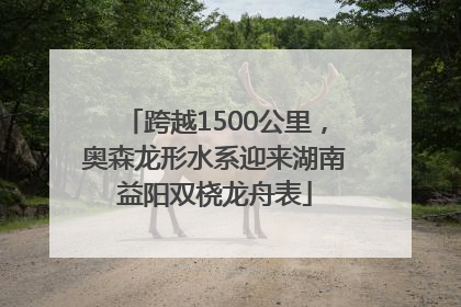 跨越1500公里，奥森龙形水系迎来湖南益阳双桡龙舟表