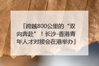 跨越800公里的“双向奔赴”！长沙-香港青年人才对接会在港举办