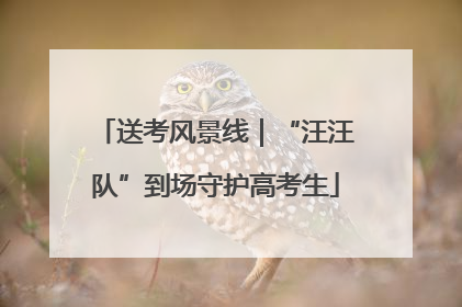 送考风景线｜“汪汪队”到场守护高考生
