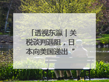 透视东瀛｜关税谈判遇阻，日本向美国递出“投名状”