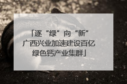 逐“绿”向“新” 广西兴业加速建设百亿绿色钙产业集群