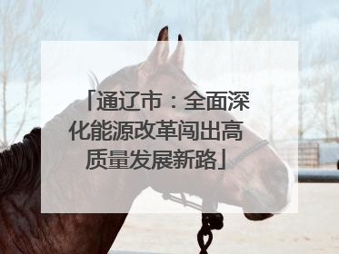 通辽市：全面深化能源改革闯出高质量发展新路
