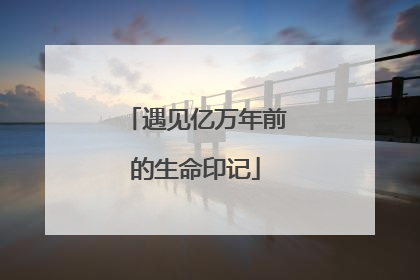 遇见亿万年前的生命印记
