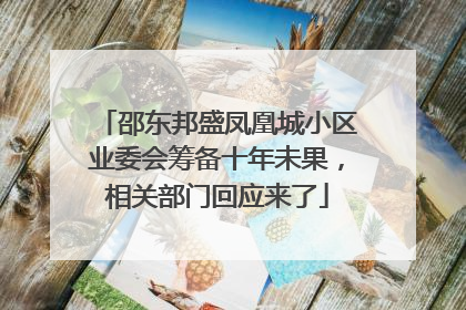 邵东邦盛凤凰城小区业委会筹备十年未果，相关部门回应来了