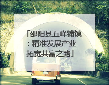 邵阳县五峰铺镇：精准发展产业 拓宽共富之路