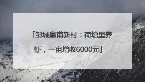 邹城皇甫新村：荷塘里养虾，一亩增收6000元