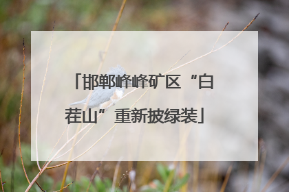 邯郸峰峰矿区“白茬山”重新披绿装