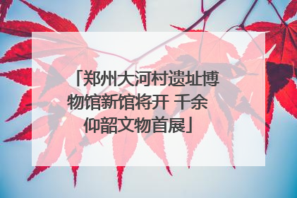郑州大河村遗址博物馆新馆将开 千余仰韶文物首展