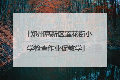 郑州高新区莲花街小学检查作业促教学