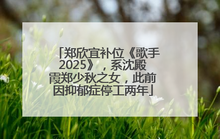 郑欣宜补位《歌手2025》，系沈殿霞郑少秋之女，此前因抑郁症停工两年