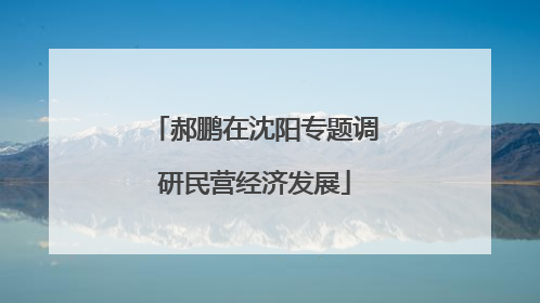 郝鹏在沈阳专题调研民营经济发展