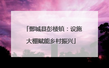鄄城县彭楼镇：设施大棚赋能乡村振兴