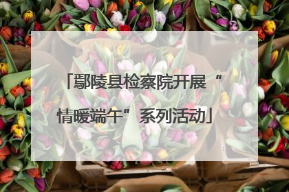 鄢陵县检察院开展“情暖端午”系列活动