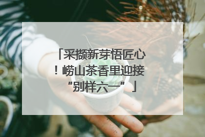 采撷新芽悟匠心！崂山茶香里迎接“别样六一”