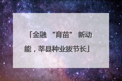 金融 “育苗” 新动能，莘县种业拔节长
