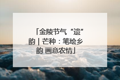 金陵节气“遗”韵｜芒种：笔绘乡韵 画意农情