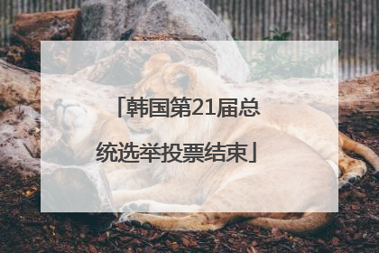韩国第21届总统选举投票结束