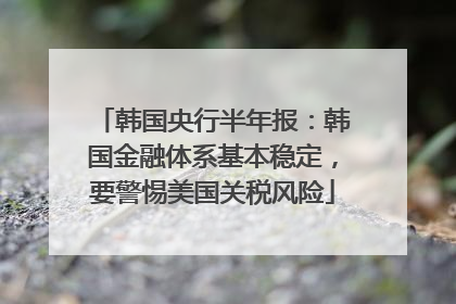 韩国央行半年报：韩国金融体系基本稳定，要警惕美国关税风险